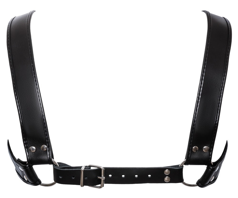 Leather Chest Harness