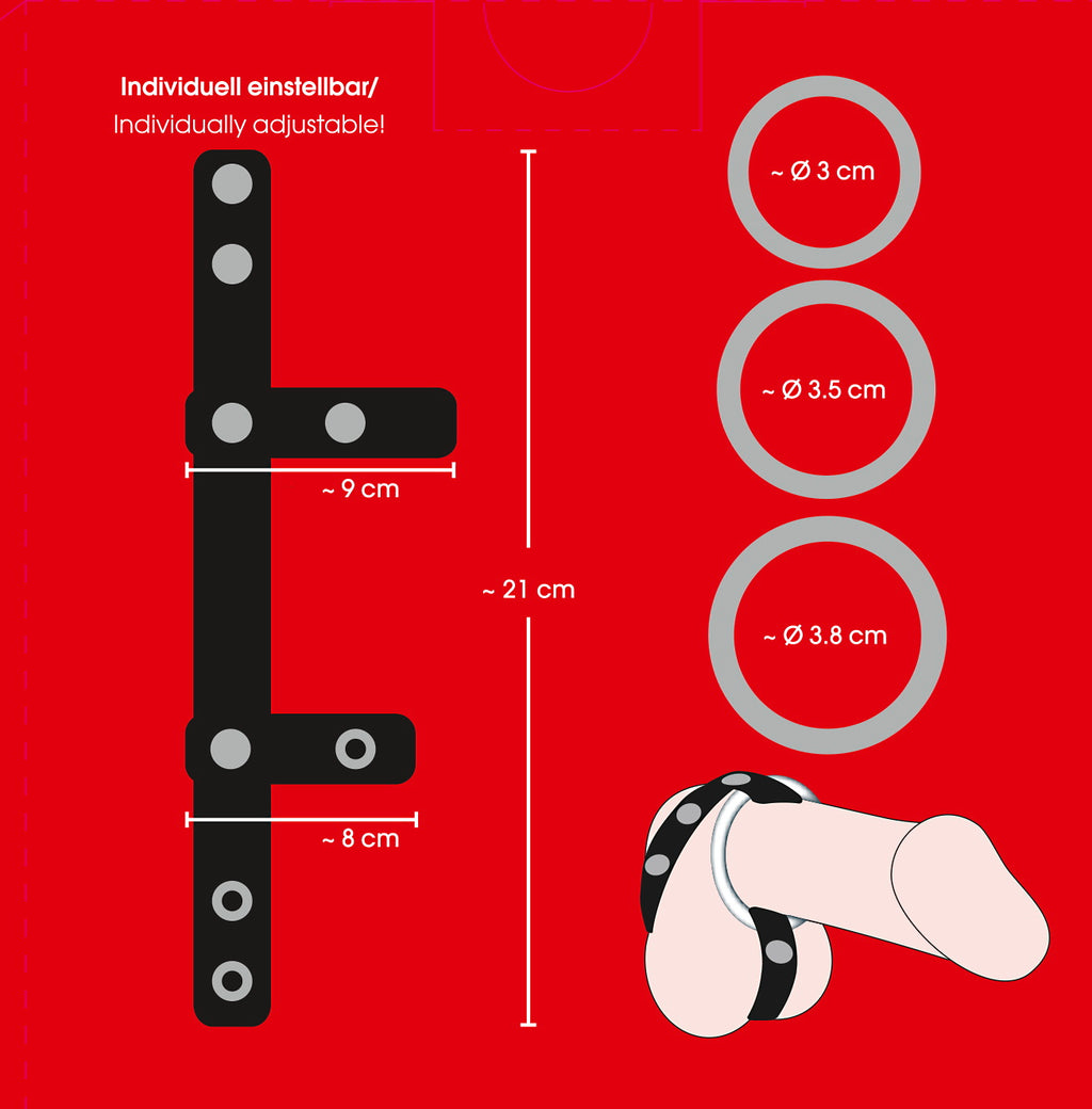 Cock & Ball Strap siksna ar metāla gredzeniem