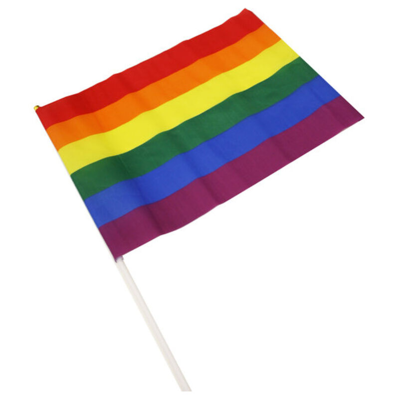PRIDE karodziņš 30 × 19,5 cm